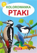 Kolorowank... - Jarosław Żukowski - Ksiegarnia w niemczech