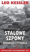 Stalowe sz... - Leo Kessler - Ksiegarnia w niemczech