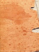 Polska książka : Honky - Piotr Skiba