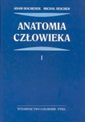 Anatomia c... - Adam Bochenek, Michał Reicher - buch auf polnisch 
