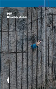 Bild von Mur 12 kawałków o Berlinie