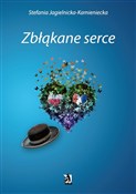 Polnische buch : Zbłąkane s... - Stefania Jagielnicka-Kamieniecka