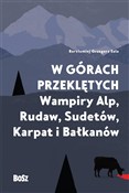 Książka : W górach p... - Bartłomiej Sala