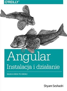 Bild von Angular instalacja i działanie Nauka krok po kroku