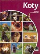 KOTY - Izabela Wierzbowska -  polnische Bücher