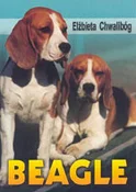 Beagle - Elżbieta Chwalibóg -  Polnische Buchandlung 