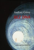 Polska książka : Bez dna - Andrzej Górny