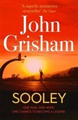 Polska książka : Sooley - John Grisham