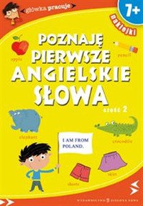 Obrazek Główka pracuje Poznaję pierwsze angielskie słowa cz. 2