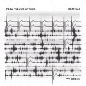 Zobacz : Remisja - Slums Attack