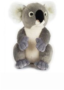 Bild von Plusz Basic Koala