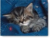 Puzzle Wtu... - buch auf polnisch 