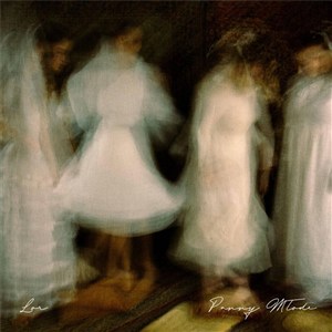 Bild von Panny Młode CD