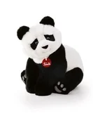 Zobacz : Panda M