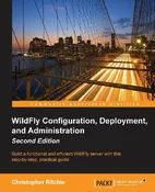 WildFly Co... - Ritchie Christopher - Ksiegarnia w niemczech