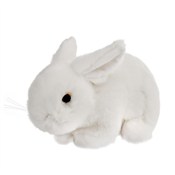 Polnische buch : Króliczek ...