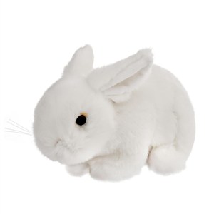 Bild von Króliczek biały 18cm