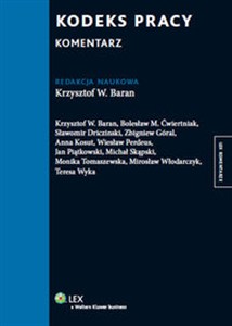 Bild von Kodeks pracy Komentarz