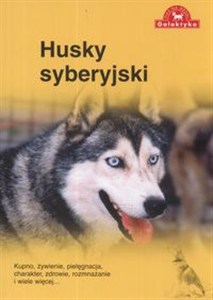 Bild von Husky syberyjski kupno żywienie pielęgnacja charakter zdrowie rozmnażanie i wiele więcej