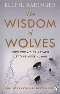 Obrazek The Wisdom of Wolves