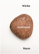 Polska książka : Kamionek - Marcin Wicha