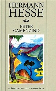 Bild von Peter Camenzind