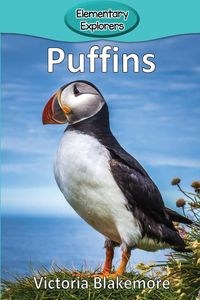 Bild von Puffins