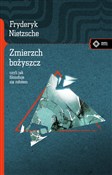 Zobacz : Zmierzch b... - Fryderyk Nietzsche