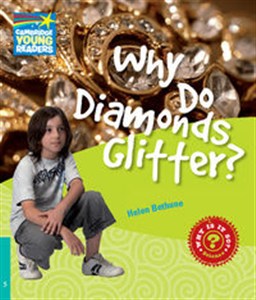 Bild von Why Do Diamonds Glitter? Level 5 Factbook
