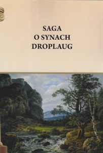 Obrazek Saga o synach Droplaug