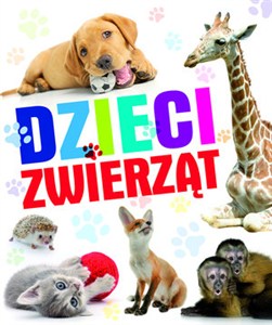 Bild von Dzieci zwierząt