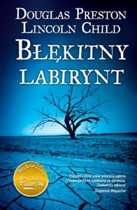 Obrazek Błękitny labirynt