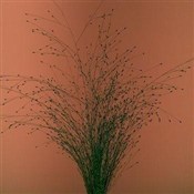 Tak mi się... -  Polnische Buchandlung 