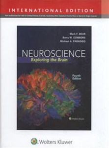 Bild von Neuroscience Exploring the Brain, Fourth edition