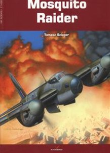 Obrazek Mosquito Raider