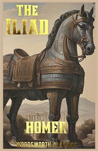 Obrazek The Iliad