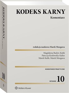 Obrazek Kodeks karny Komentarz