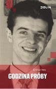 Godzina pr... - Artur Ney -  Książka z wysyłką do Niemiec 