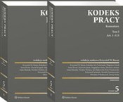 Kodeks pra... - Monika Tomaszewska, Zbigniew Góral, Jan Piątkowski, Piotr Prusinowski, Mirosław Włodarczyk, Daniel K - buch auf polnisch 