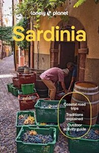 Obrazek Sardinia Lonely Planet