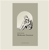 Widzenie E... - Piotr Gociek -  fremdsprachige bücher polnisch 