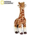 Polska książka : Żyrafa