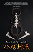 Polska książka : Znachor - Michał Śmielak
