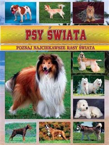 Bild von Psy świata