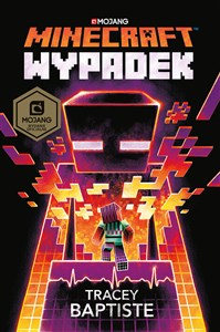 Obrazek Minecraft Wypadek