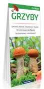 Grzyby -  Polnische Buchandlung 