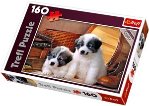 Bild von Puzzle Bernardynki 160