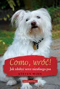 Polska książka : Como wróć ... - Steven Winn
