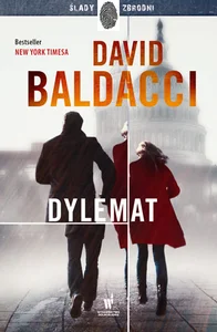 Bild von Dylemat