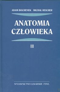 Bild von Anatomia człowieka Tom 3 Układ naczyniowy